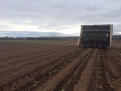 Planting 2015 commences